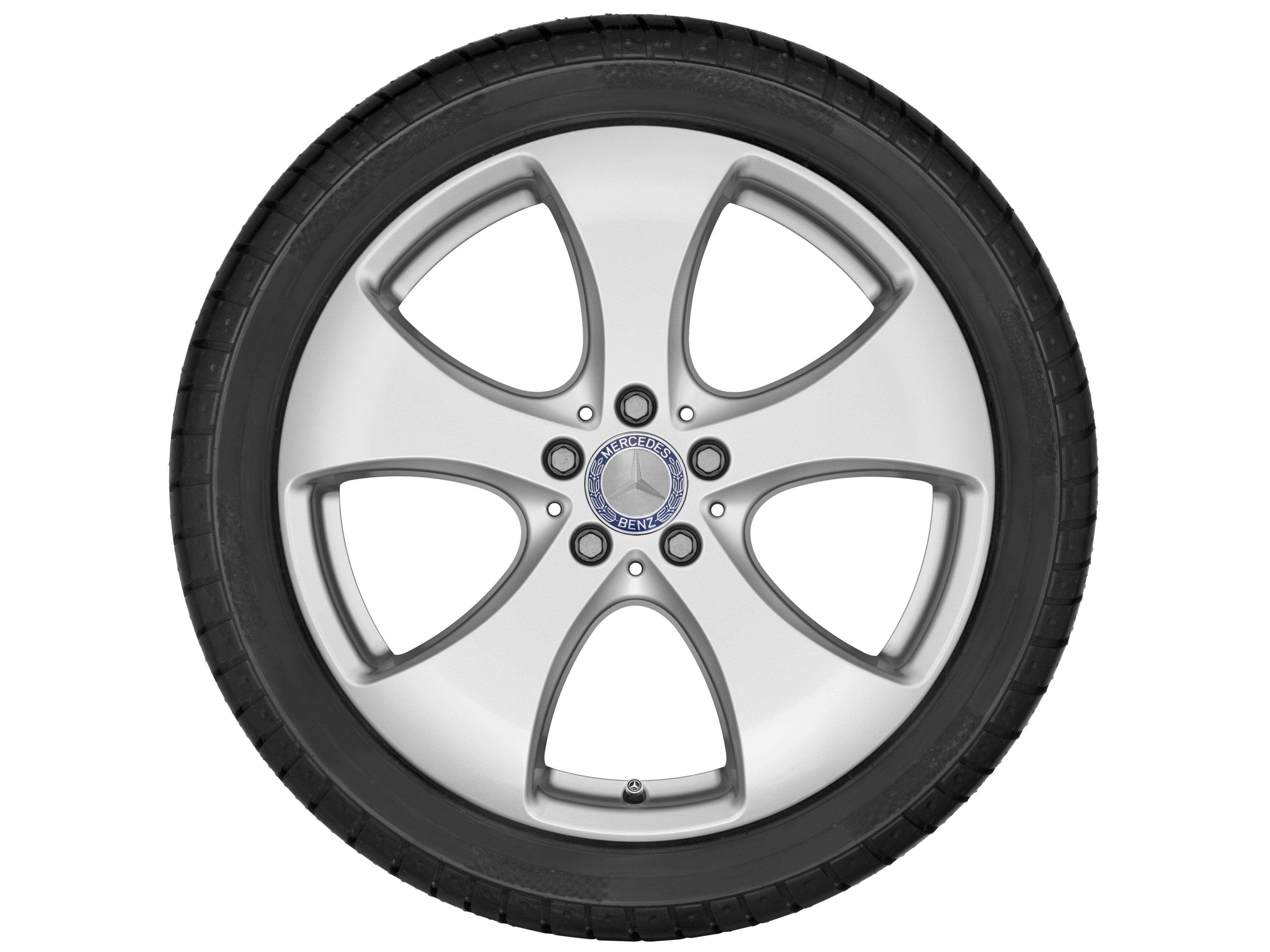 Llanta de 5 radios, 48,3 cm (19 pulgadas) - 8,5 J x 19 ET 62, plata vanadio, pintado