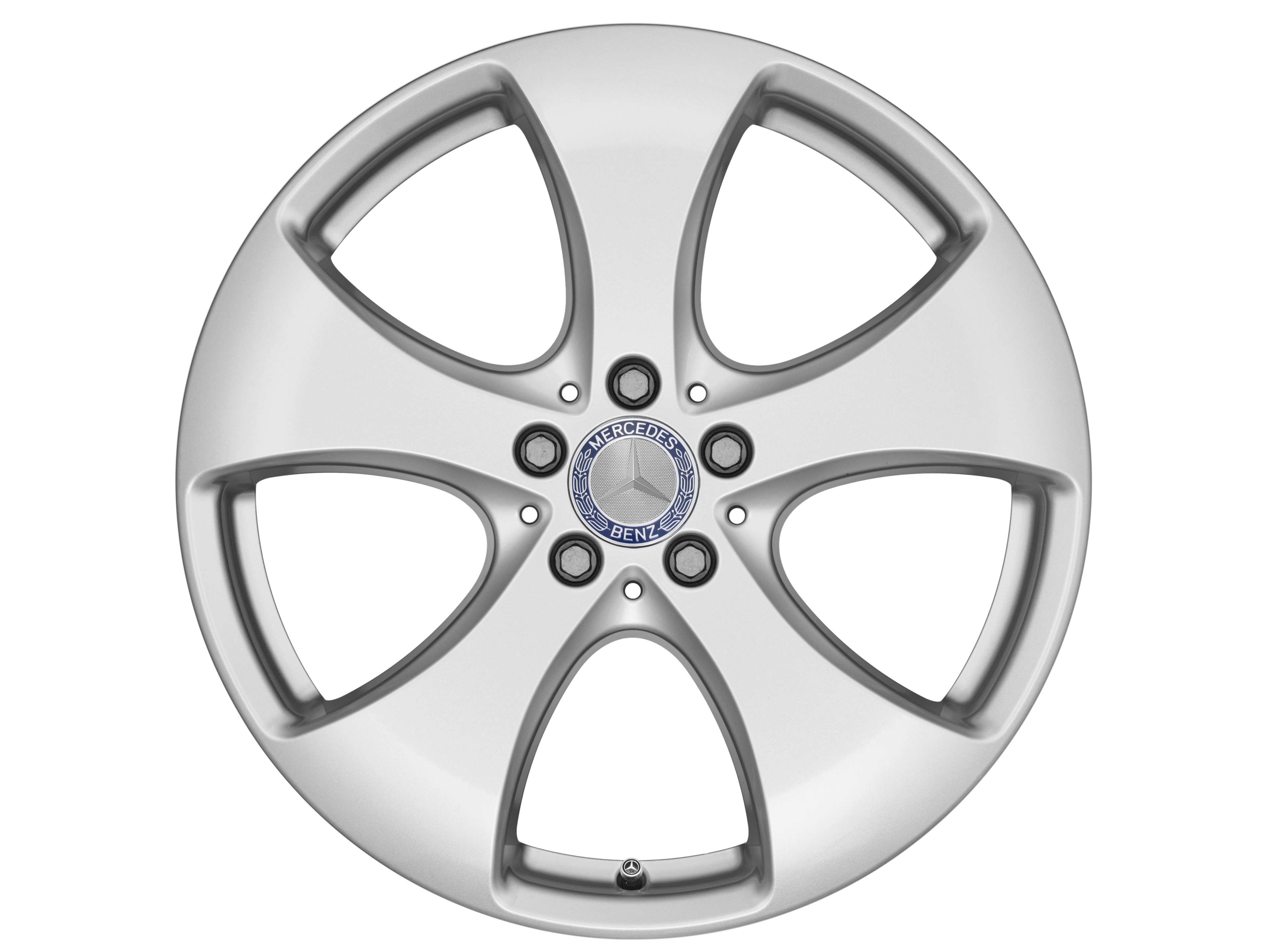 Llanta de 5 radios, 48,3 cm (19 pulgadas) - 8,5 J x 19 ET 62, plata vanadio, pintado